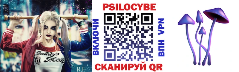хочу наркоту  Сим  Галлюциногенные грибы Psilocybine cubensis 